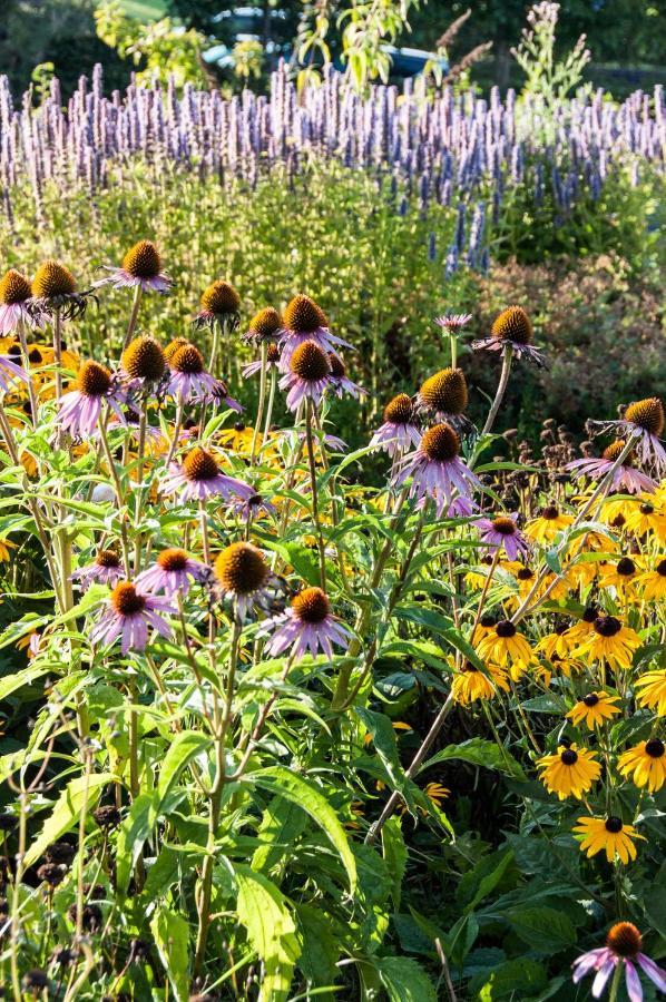 Puurteuven B&B Tussen Kunst En Natuur ฟูเริน ภายนอก รูปภาพ